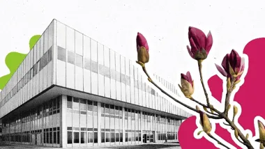 Majówka w NCK z gitarą, Beksińskim i spacerem między magnoliami